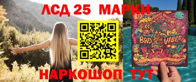 гидропоника Ставрополь