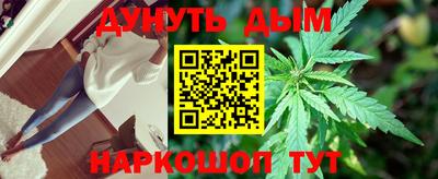 гидропоника Ставрополь