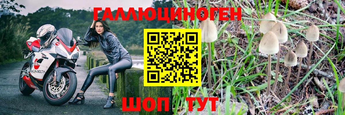 Псилоцибиновые грибы Cubensis  Галлюциногенные грибы Psilocybine cubensis  Вход с VPN  Муром 