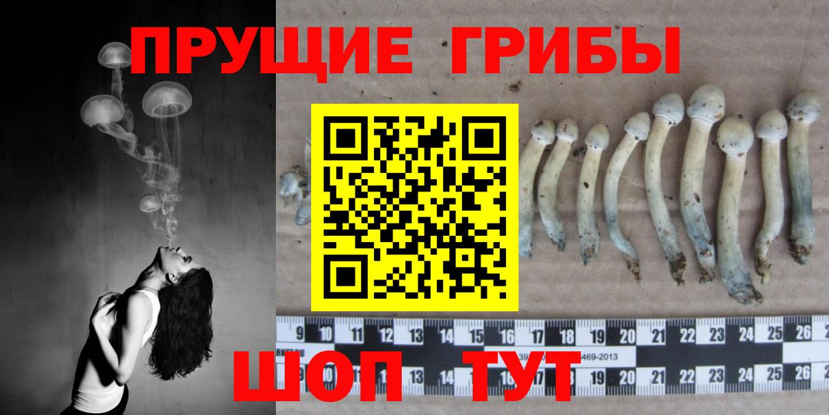 Галлюциногенные грибы ЛСД Муром